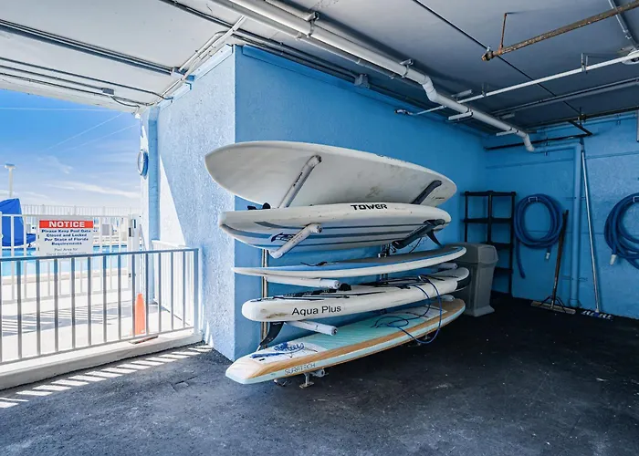 Dollar 403 Apartment *
